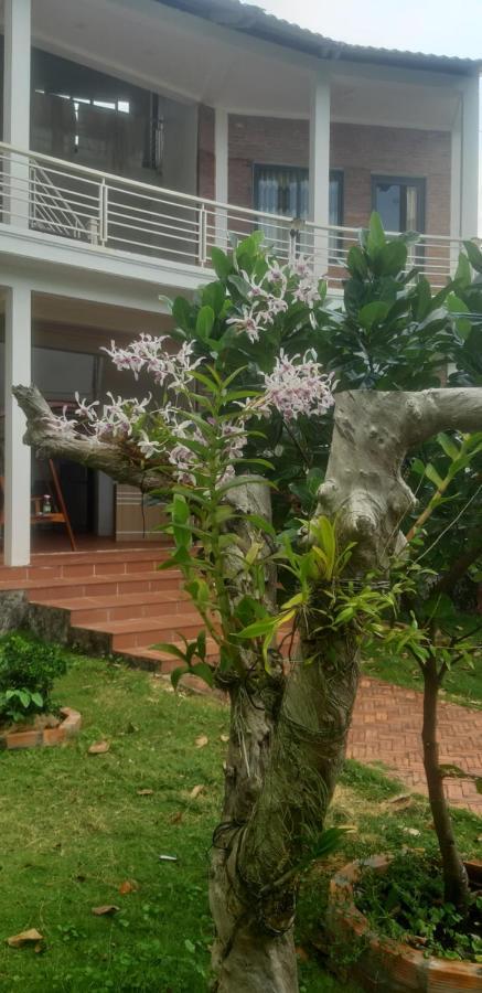 Villa Linkin House Phu Quoc Exterior foto